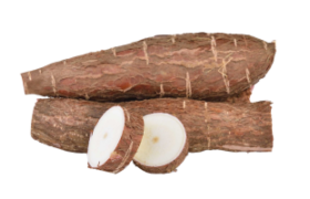 Cassava