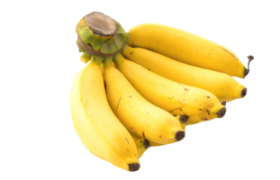 mini bananas